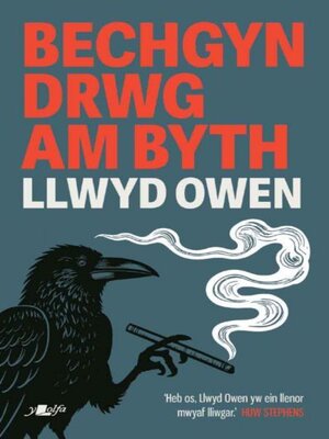cover image of Bechgyn Drwg am byth
